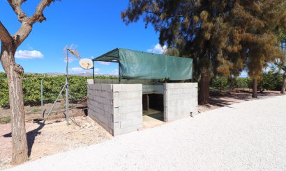 Revente - Villa - Callosa de Segura - Callosa de Segura - Country