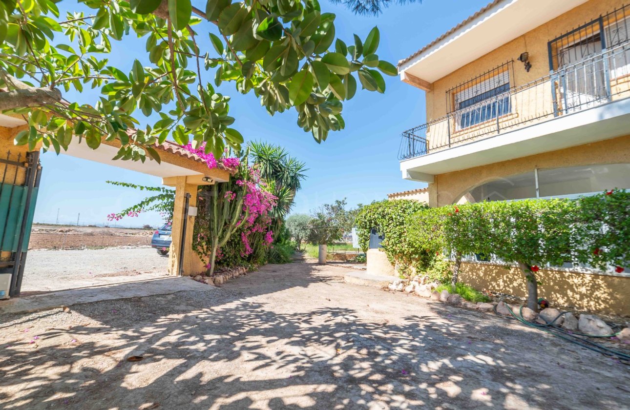 Revente - Villa - Los Montesinos - Montesinos