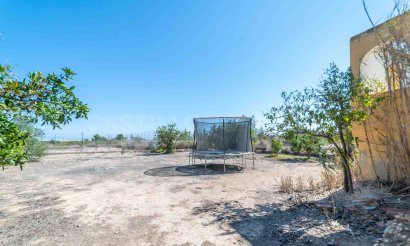 Revente - Villa - Los Montesinos - Montesinos