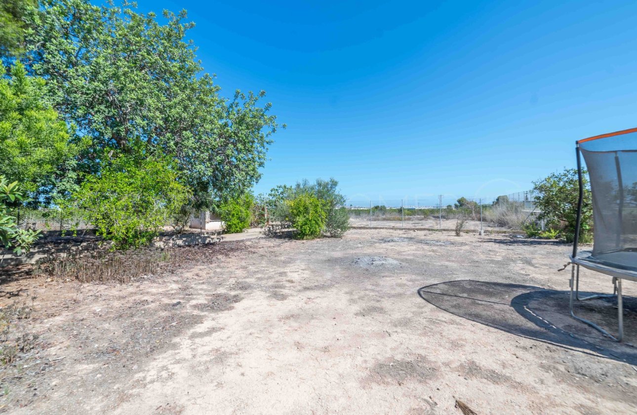 Revente - Villa - Los Montesinos - Montesinos
