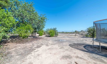 Revente - Villa - Los Montesinos - Montesinos