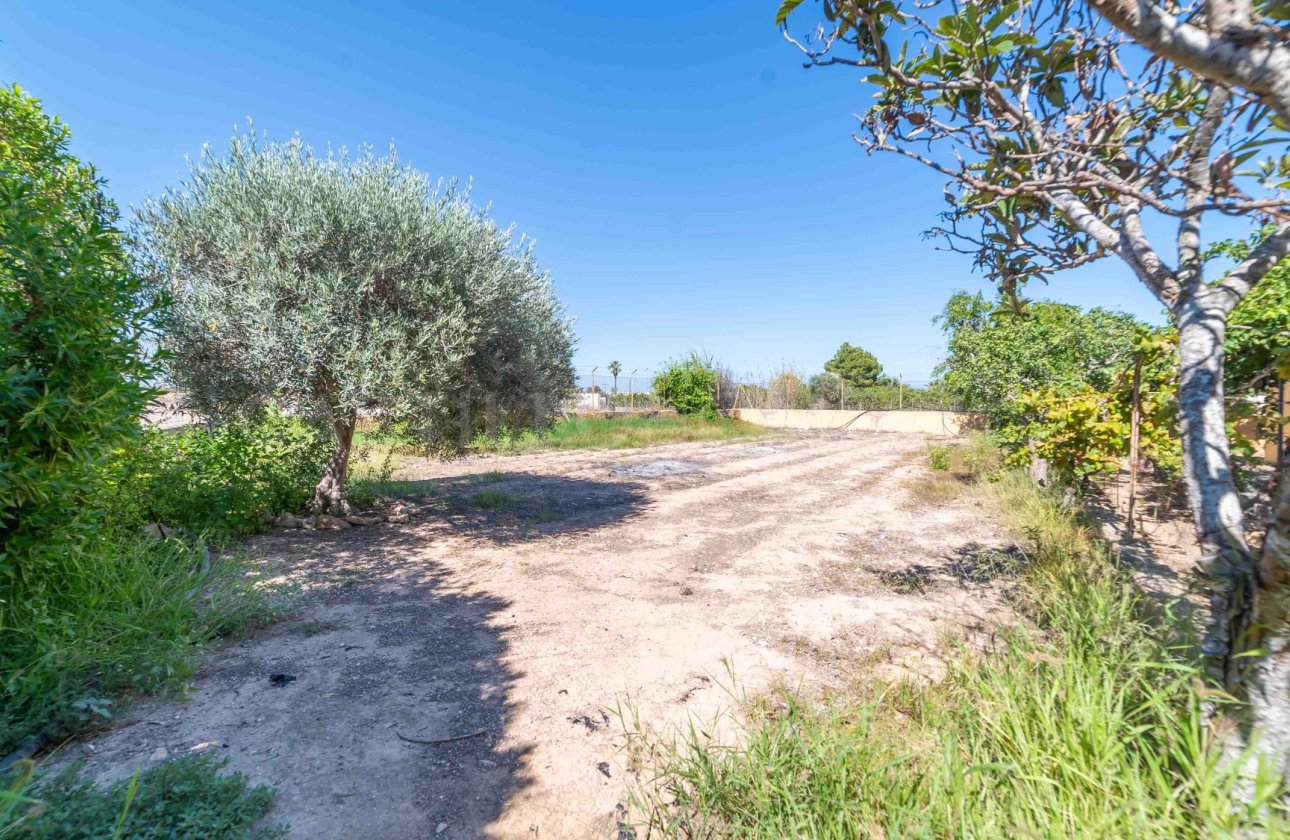 Revente - Villa - Los Montesinos - Montesinos