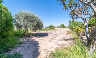 Revente - Villa - Los Montesinos - Montesinos