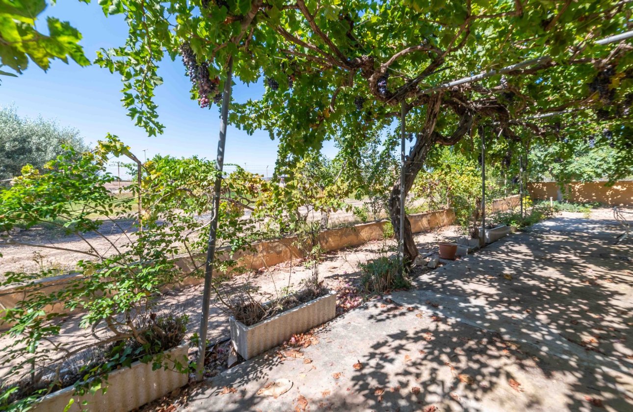 Revente - Villa - Los Montesinos - Montesinos