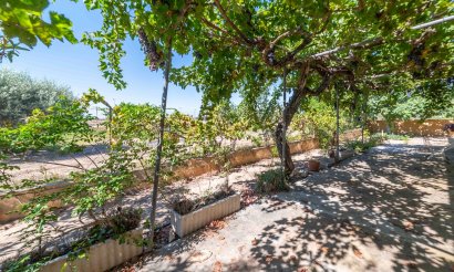 Revente - Villa - Los Montesinos - Montesinos
