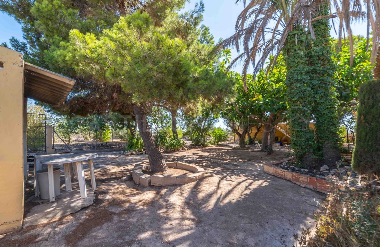 Revente - Villa - Los Montesinos - Montesinos
