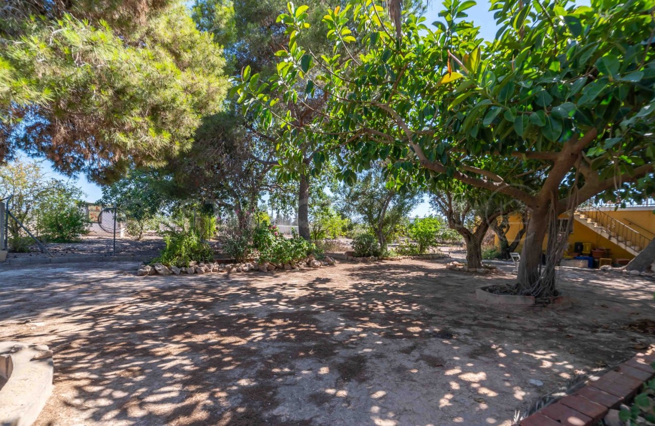 Revente - Villa - Los Montesinos - Montesinos