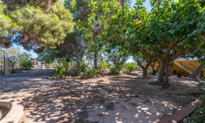 Revente - Villa - Los Montesinos - Montesinos