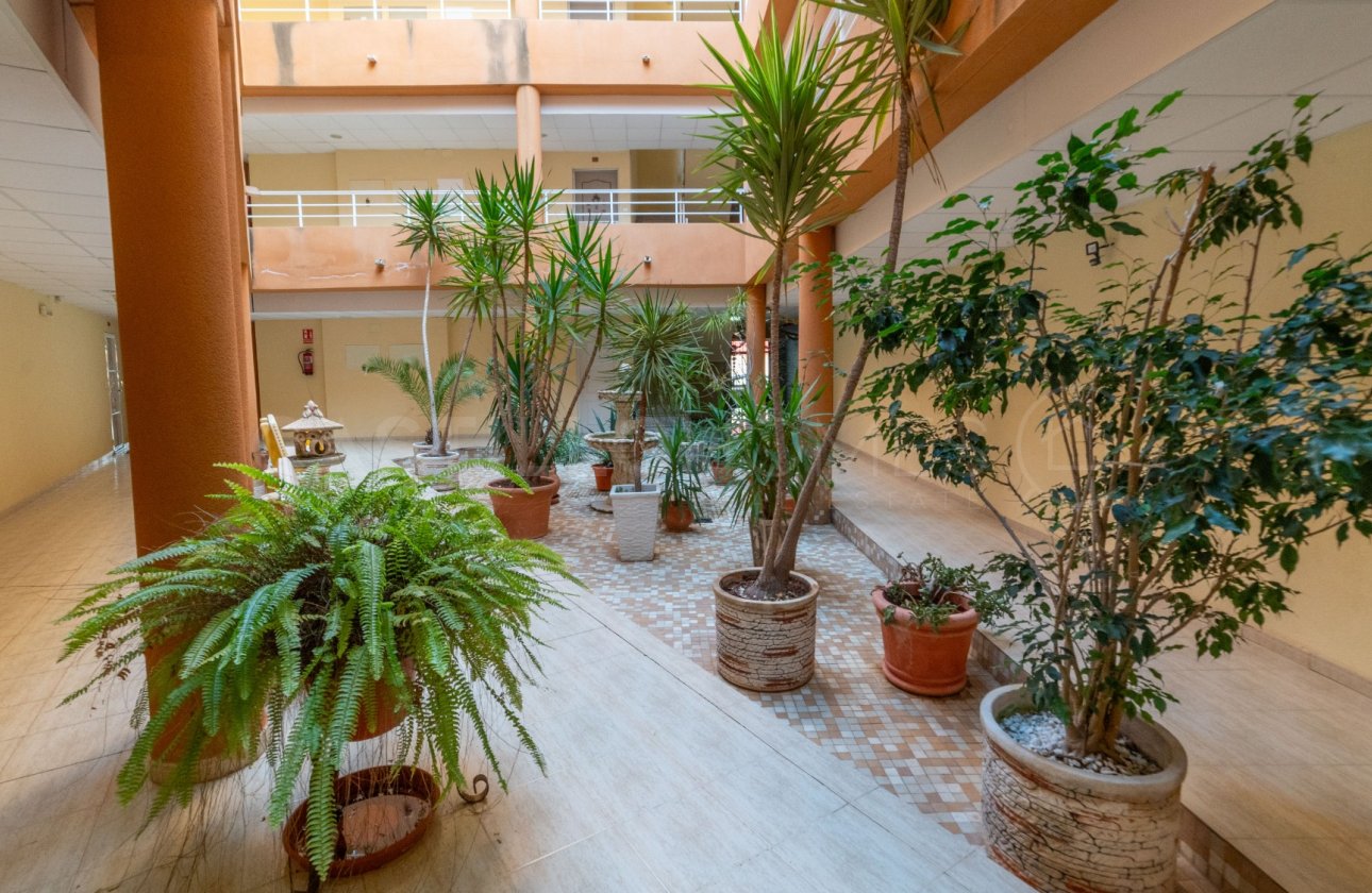 Reventa - Apartamento / piso - San Miguel de Salinas - Pueblo