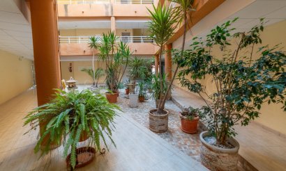 Reventa - Apartamento / piso - San Miguel de Salinas - Pueblo