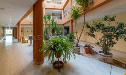 Reventa - Apartamento / piso - San Miguel de Salinas - Pueblo