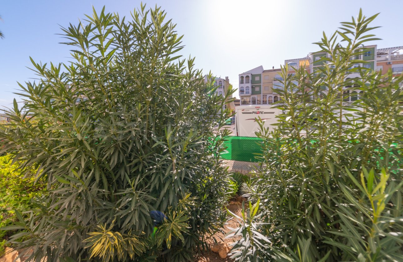 Reventa - Apartamento / piso - Torrevieja - La Veleta