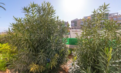 Reventa - Apartamento / piso - Torrevieja - La Veleta