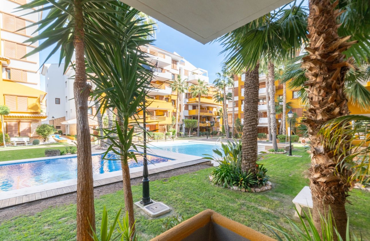 Reventa - Apartamento / piso - Torrevieja - Punta Prima