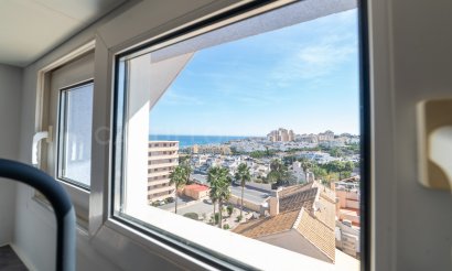 Reventa - Apartamento / piso - Torrevieja - Torrelamata - La Mata