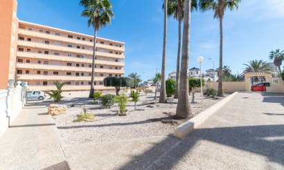 Reventa - Apartamento / piso - Torrevieja - Torrelamata - La Mata