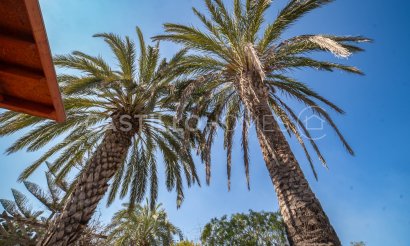 Revente - Villa - San Fulgencio - Urb. La Marina