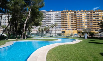 Reventa - Apartamento / piso - Orihuela Costa - Dehesa de campoamor