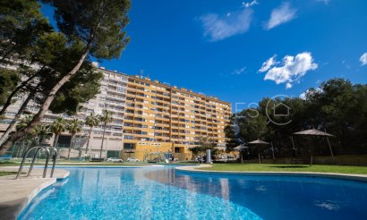 Reventa - Apartamento / piso - Orihuela Costa - Dehesa de campoamor