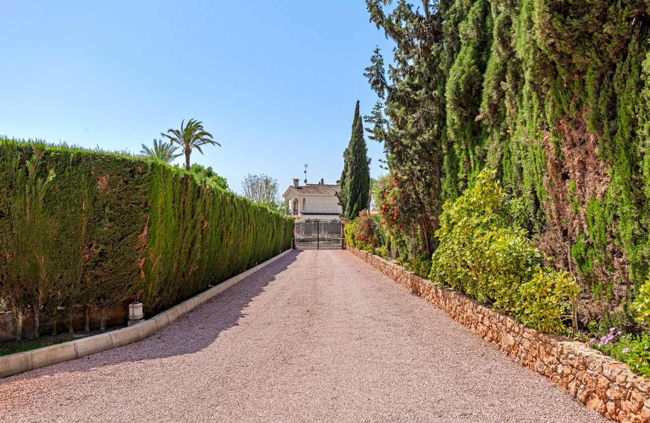 Revente - Villa - Elche - Elche/Elx