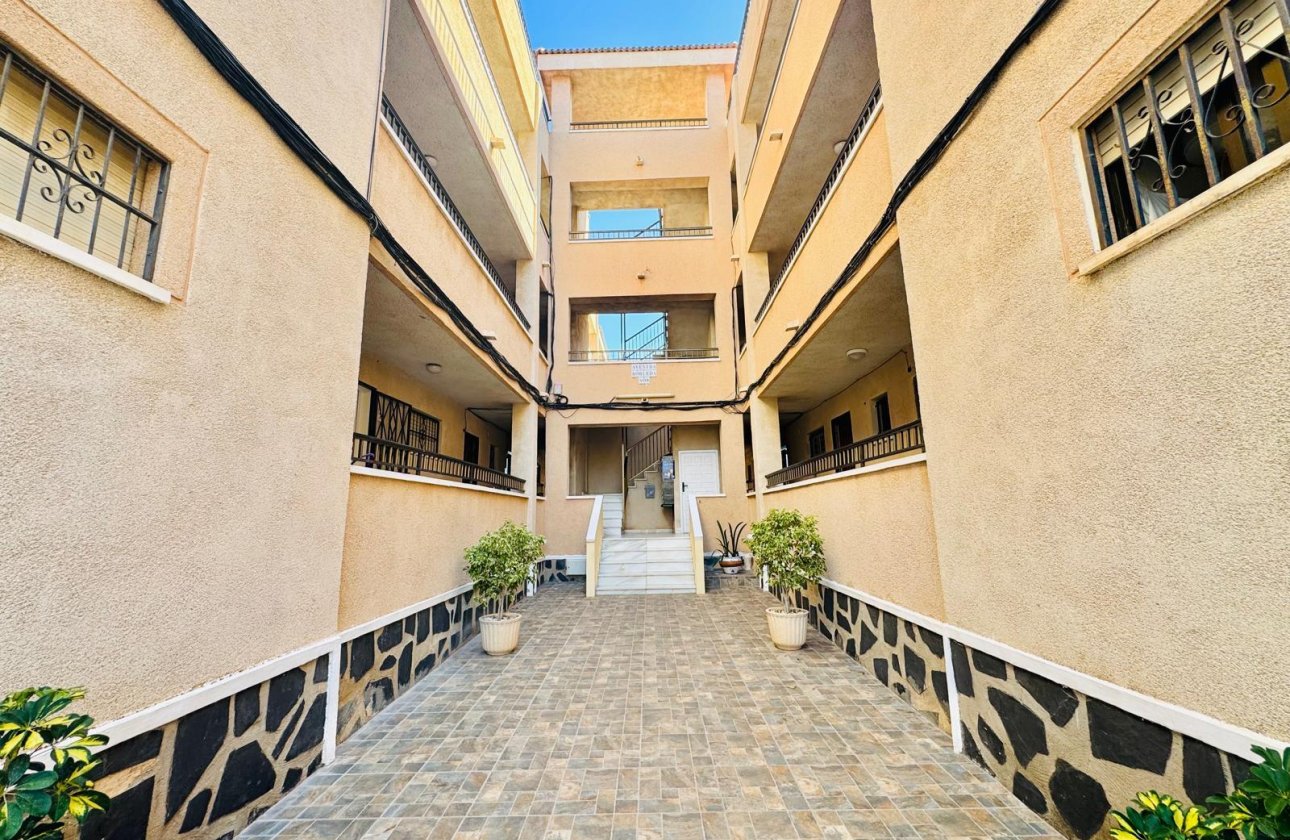 Resale - Studio - Torrevieja - San Luis - Chaparal