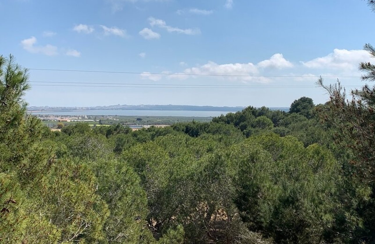Reventa - Villa - Rojales - Ciudad Quesada