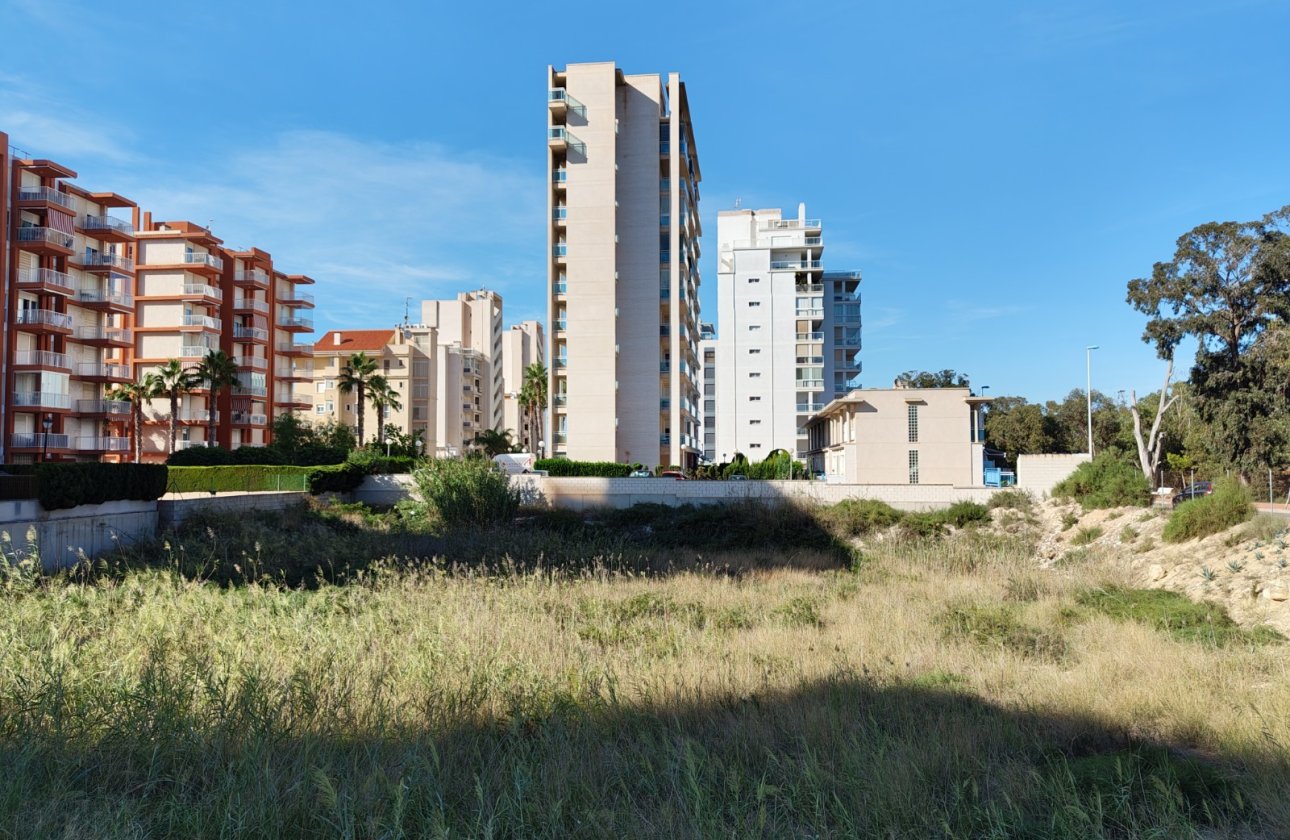 Revente - Parcelle / Terrain - Guardamar del Segura - Guardamar pueblo