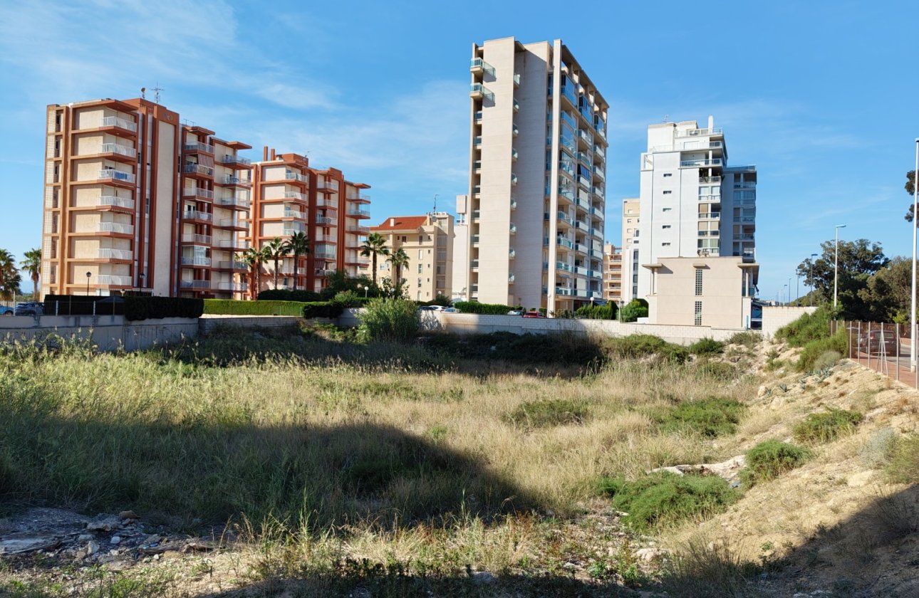 Revente - Parcelle / Terrain - Guardamar del Segura - Guardamar pueblo