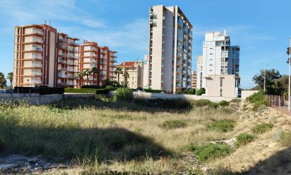 Revente - Parcelle / Terrain - Guardamar del Segura - Guardamar pueblo