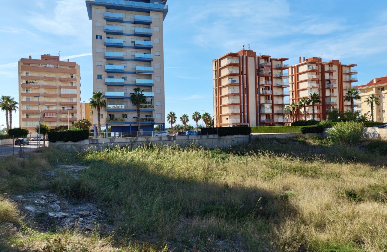Revente - Parcelle / Terrain - Guardamar del Segura - Guardamar pueblo