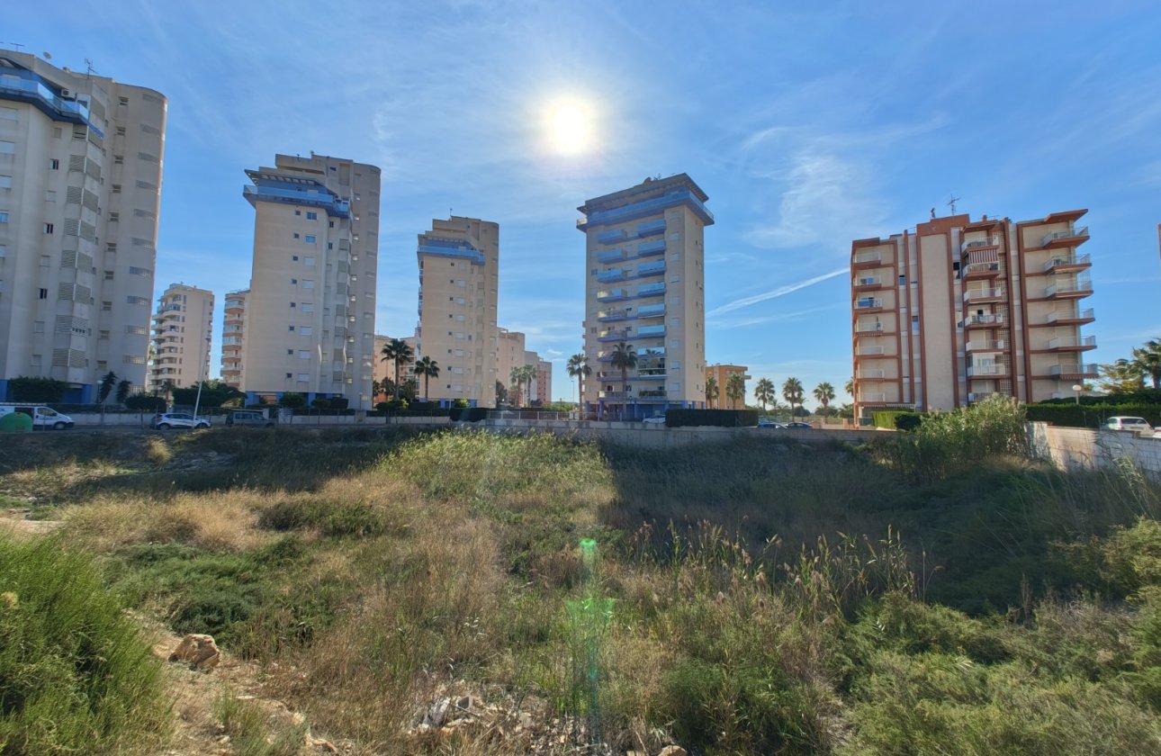 Revente - Parcelle / Terrain - Guardamar del Segura - Guardamar pueblo