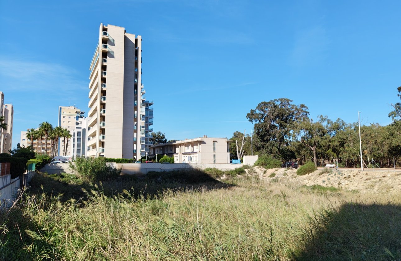 Revente - Parcelle / Terrain - Guardamar del Segura - Guardamar pueblo