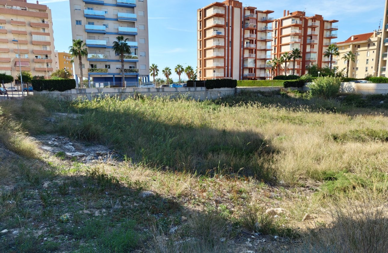 Revente - Parcelle / Terrain - Guardamar del Segura - Guardamar pueblo