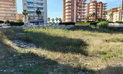 Revente - Parcelle / Terrain - Guardamar del Segura - Guardamar pueblo