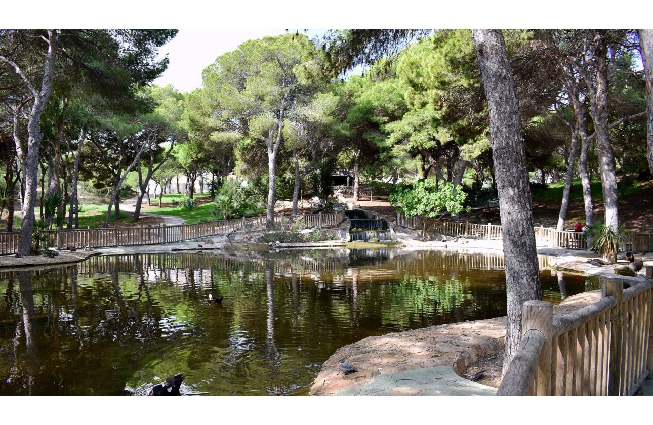 Revente - Parcelle / Terrain - Guardamar del Segura - Guardamar pueblo