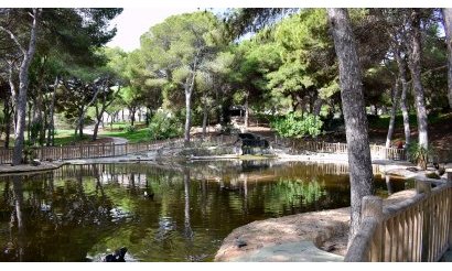 Reventa - Apartamento / piso - Guardamar del Segura - Guardamar pueblo