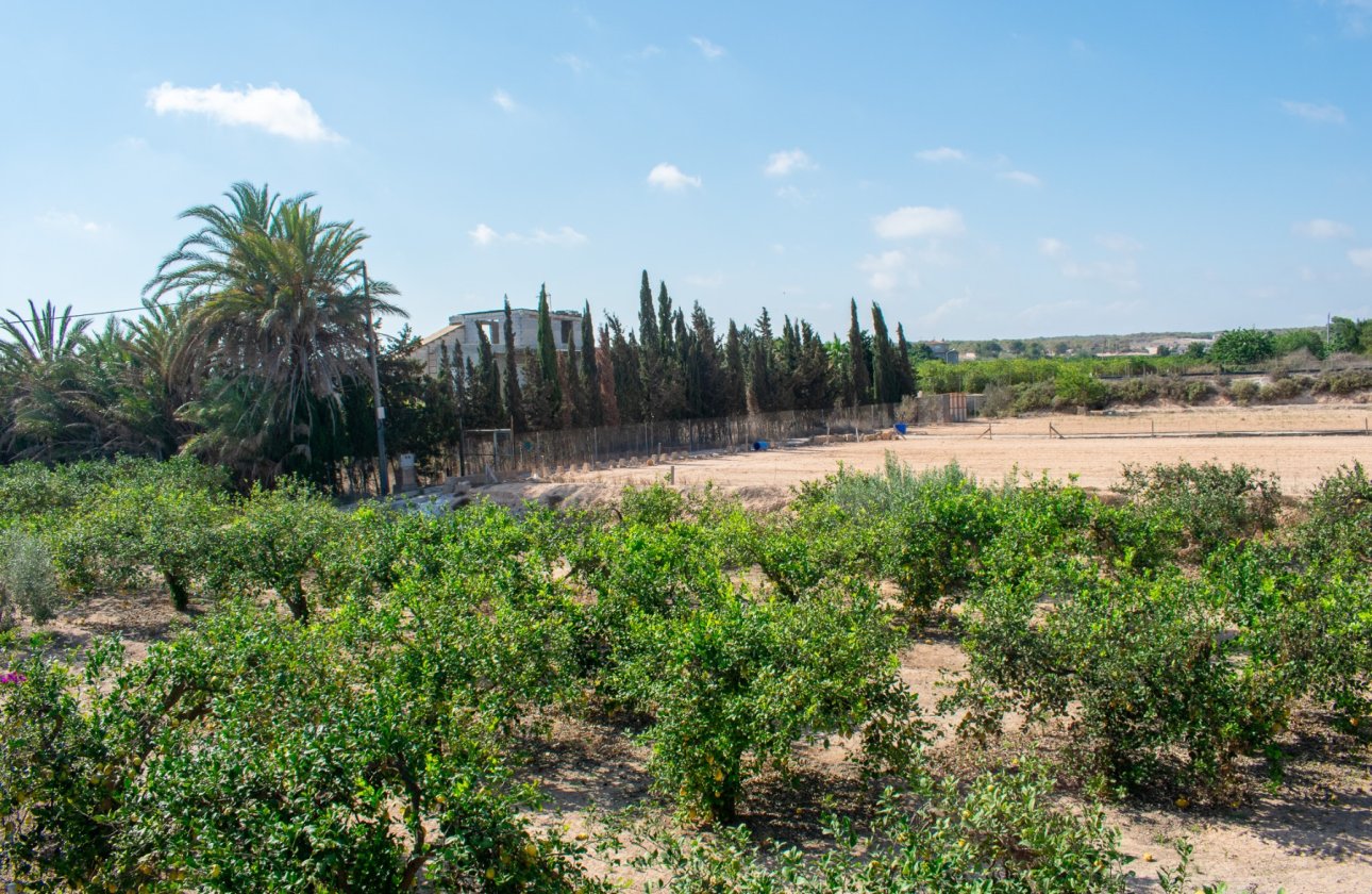 Revente - Villa - Guardamar del Segura - El Raso