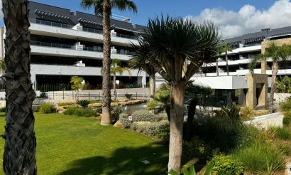 Reventa - Apartamento / piso - Orihuela Costa - La Zenia