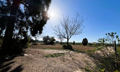 Reventa - Adosado - Daya Nueva - Pueblo