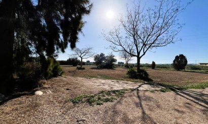Reventa - Adosado - Daya Nueva - Pueblo