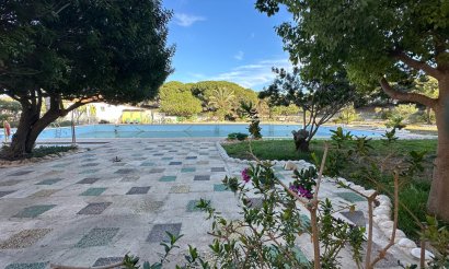 Revente - Appartement - Guardamar del Segura - Pinomar