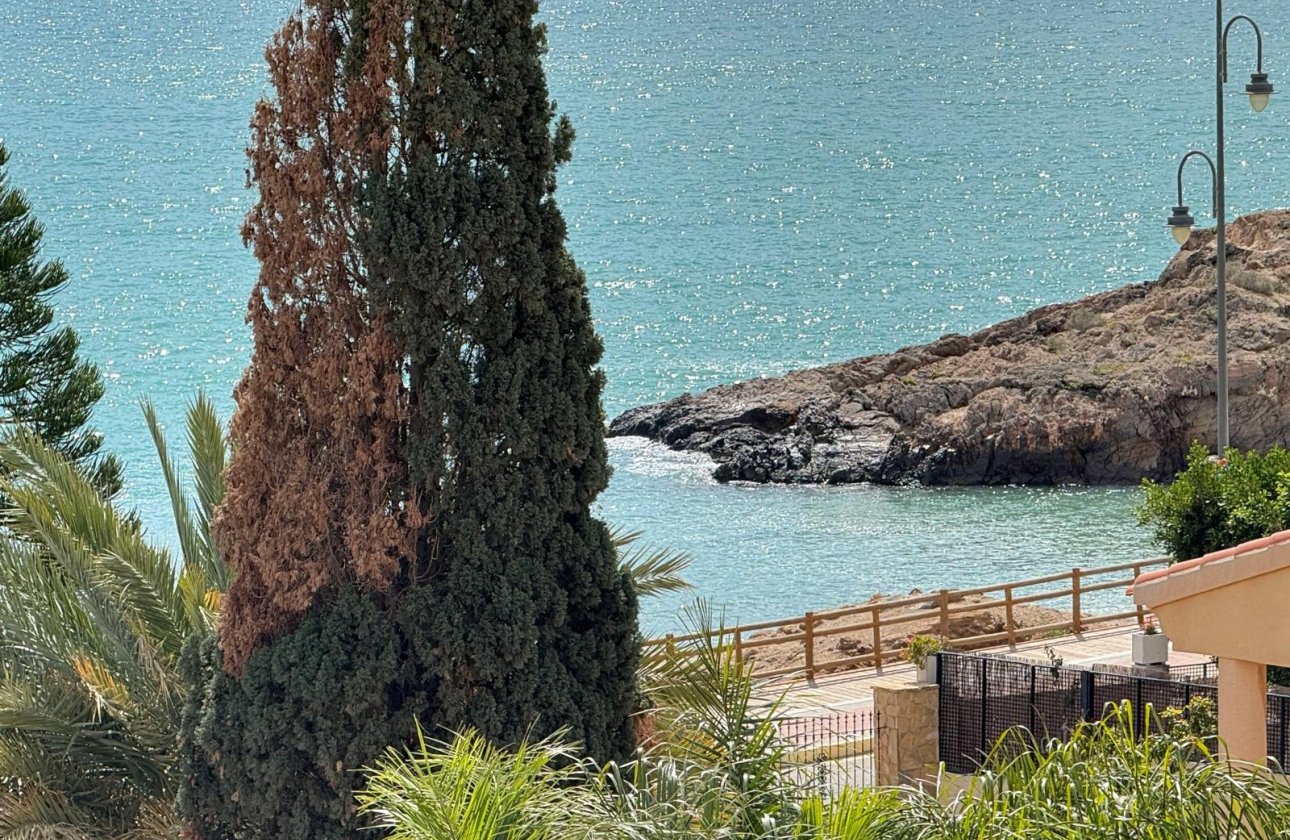 Resale - Villa / Semi detached - Bolnuevo