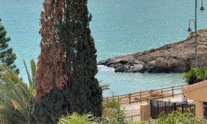 Resale - Villa / Semi detached - Bolnuevo