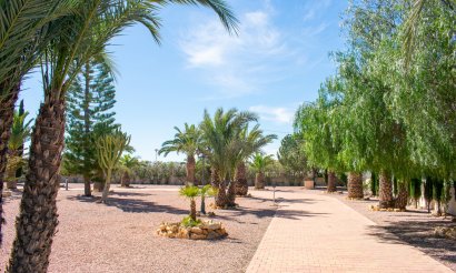 Revente - Villa - Elche - La Marina
