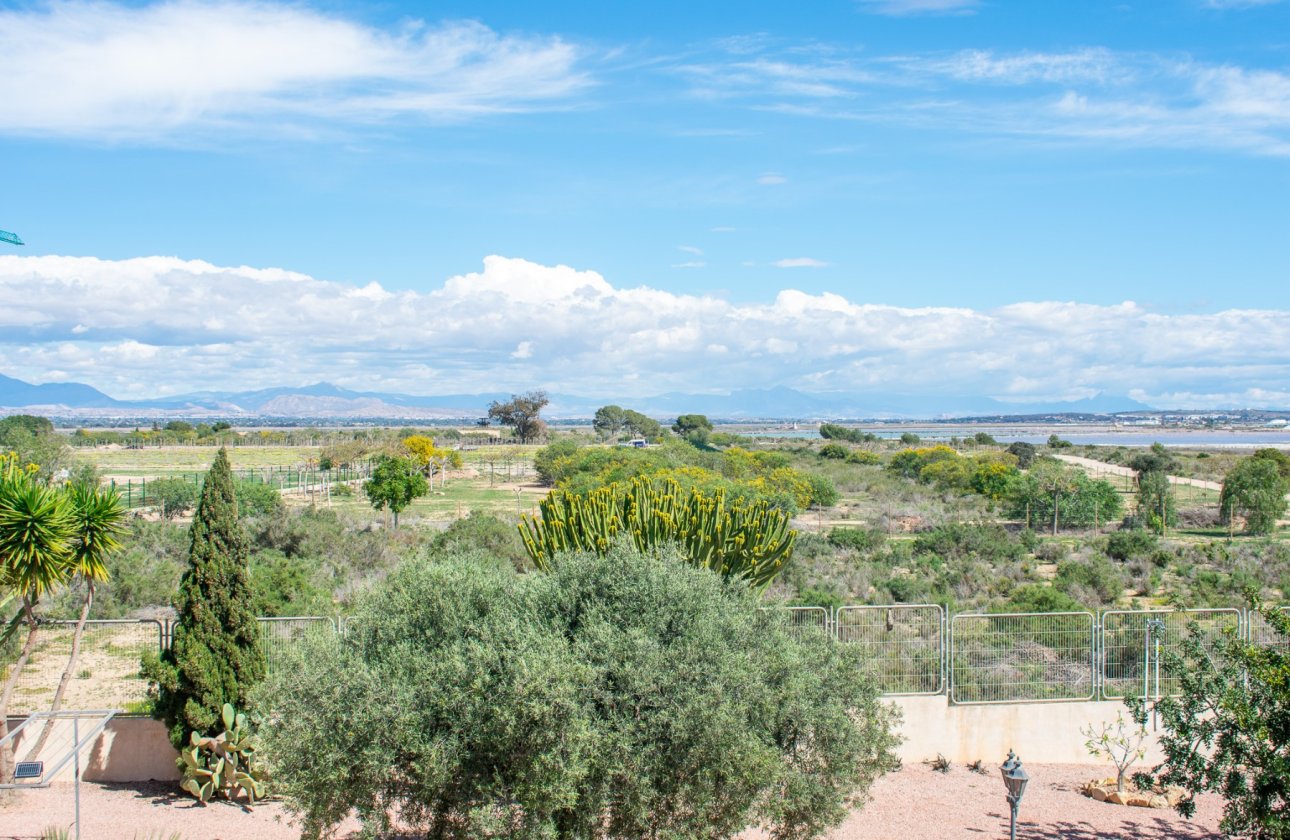 Revente - Villa - Elche - La Marina