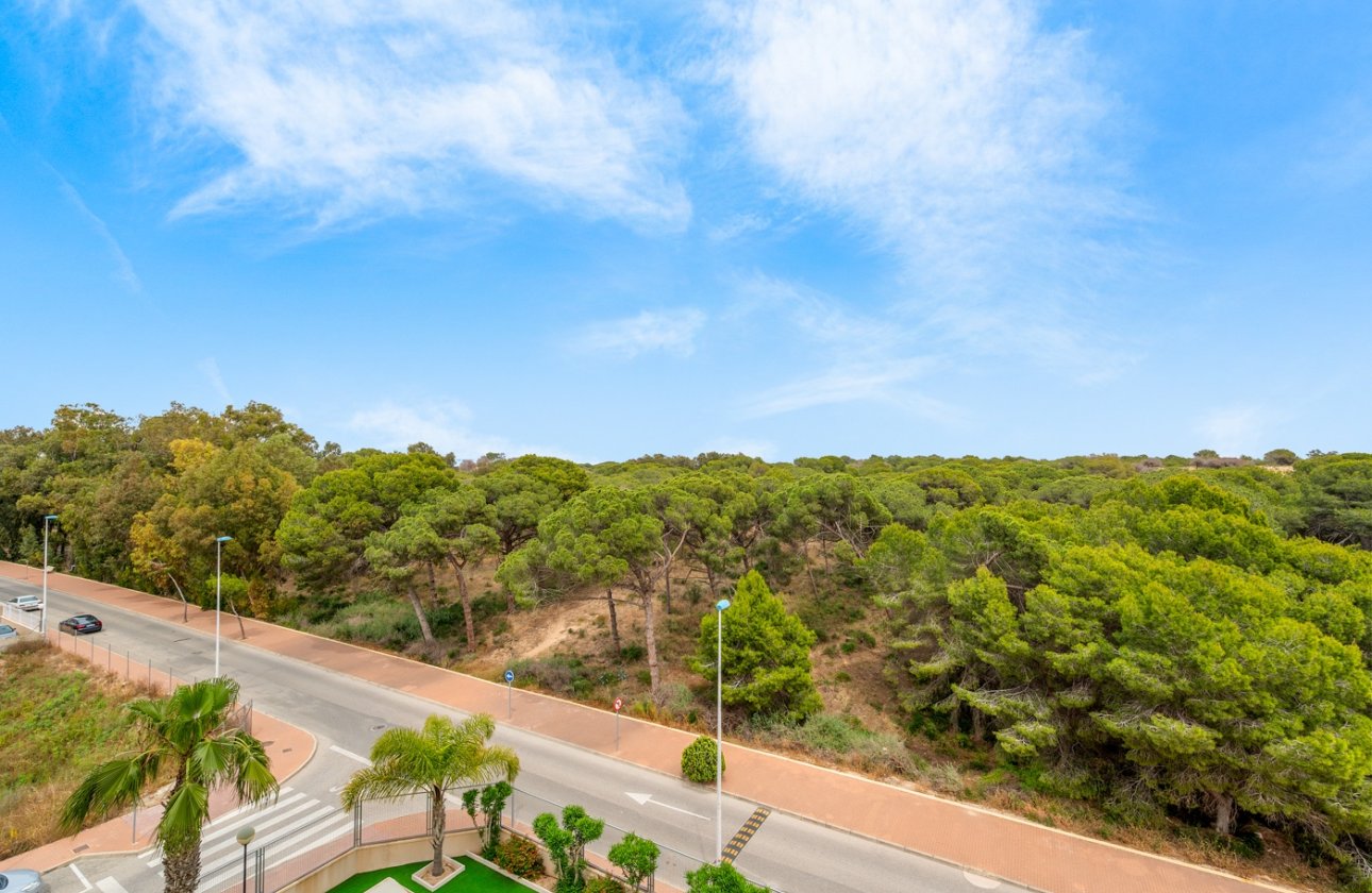 Revente - Appartement - Guardamar del Segura