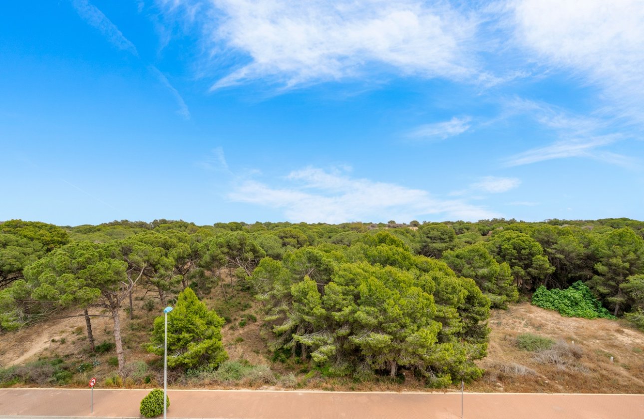 Revente - Appartement - Guardamar del Segura