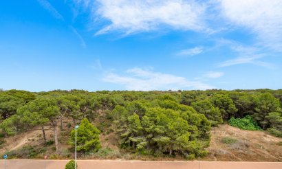 Revente - Appartement - Guardamar del Segura