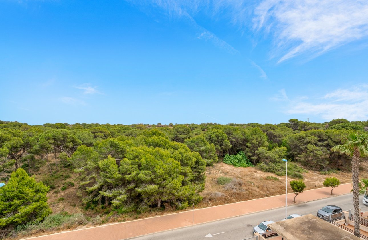 Revente - Appartement - Guardamar del Segura
