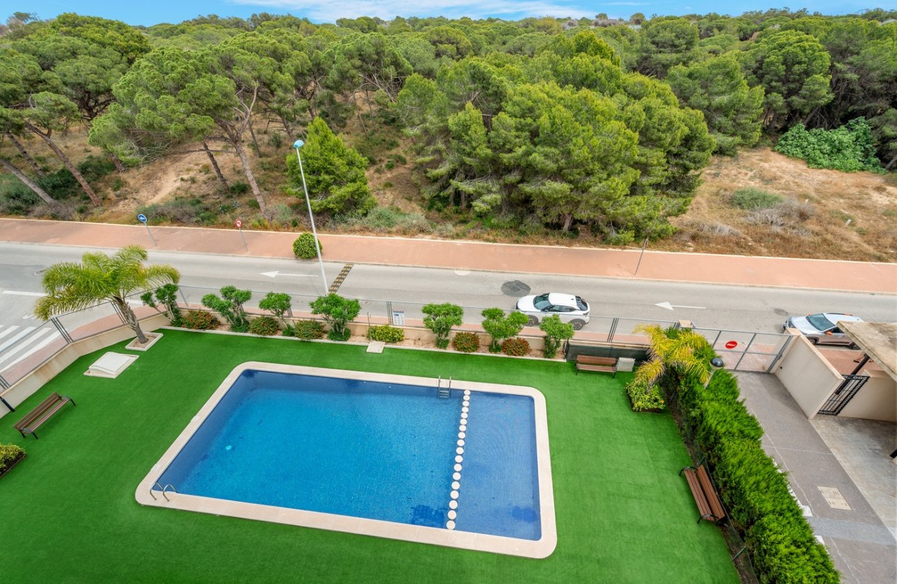 Revente - Appartement - Guardamar del Segura
